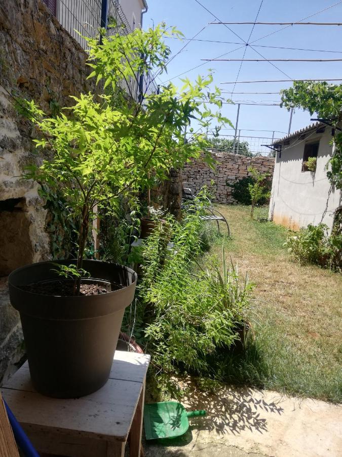 Apartamento Old Istrian House,Free Parking Galižana Exterior foto